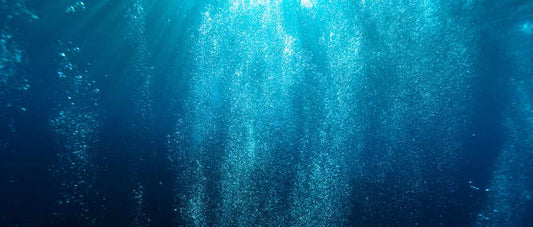 What is seabed carbon capture? Sustainable manufacturing and soda water
